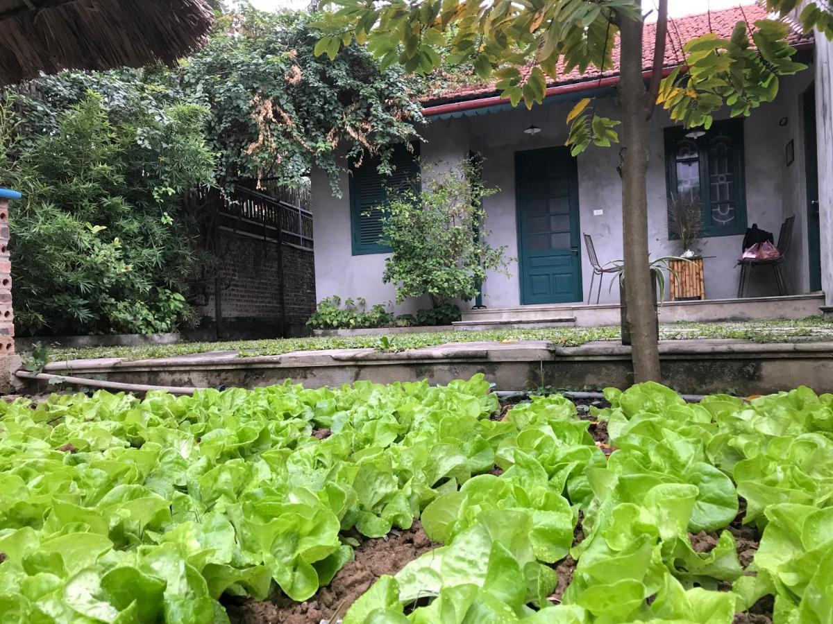 Ferienwohnung Tam Coc Eco House Ninh Binh Exterior foto