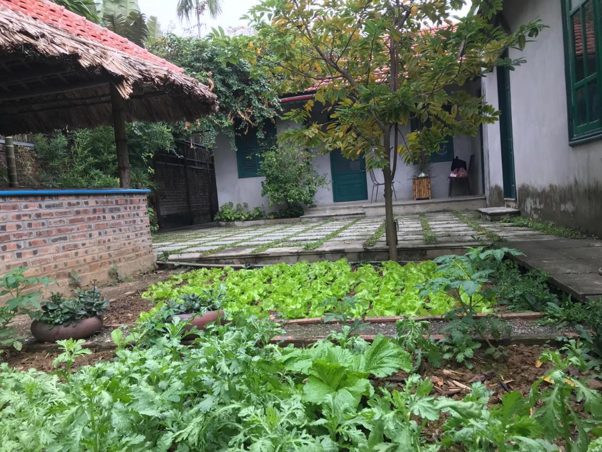 Ferienwohnung Tam Coc Eco House Ninh Binh Exterior foto