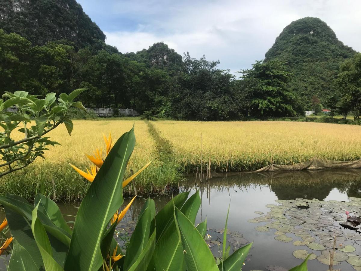 Ferienwohnung Tam Coc Eco House Ninh Binh Exterior foto