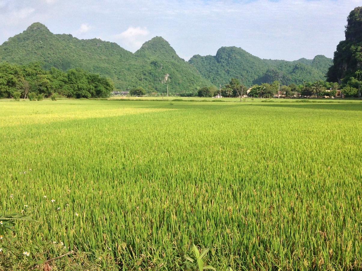 Ferienwohnung Tam Coc Eco House Ninh Binh Exterior foto