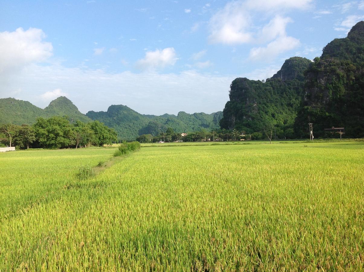 Ferienwohnung Tam Coc Eco House Ninh Binh Exterior foto